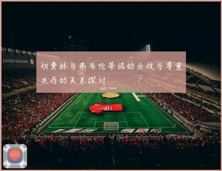 切费林与弗洛伦蒂诺的分歧与尊重共存的关系探讨