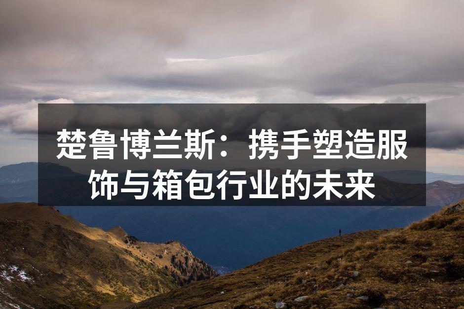 楚鲁博兰斯团队会议现场