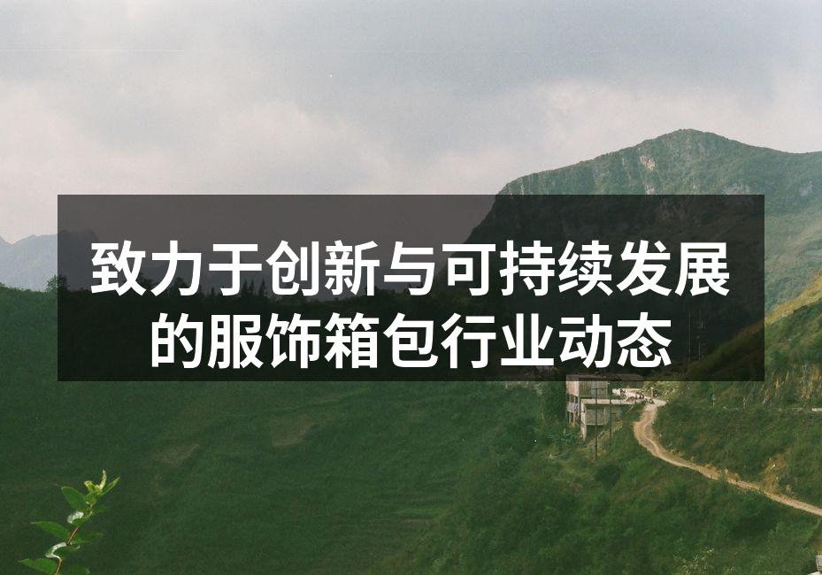 创新设计的箱包系列